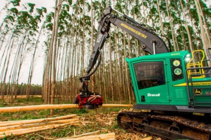 Os requisitos da função incluem experiência comprovada de operação das máquinas Harvester e Forwader e ter disponibilidade para deslocamentos. - Divulgação/Assessoria