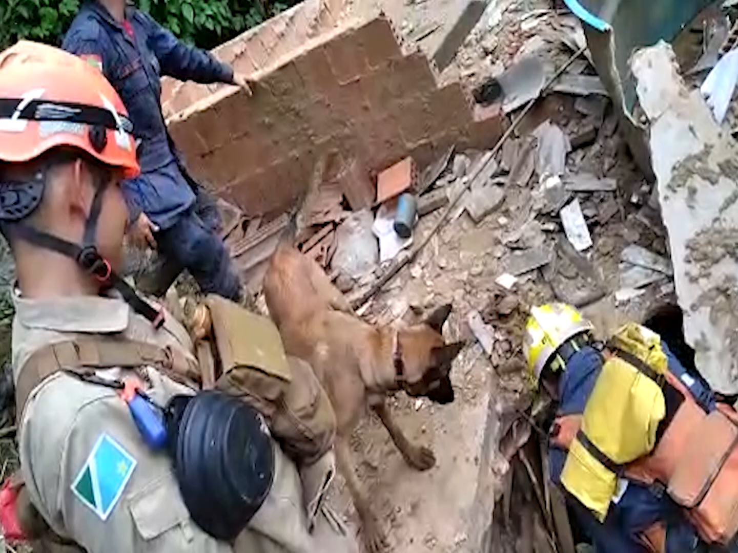 Bombeiros e cão farejador de MS nos trabalhos de resgate em Petrópolis, RJ - Foto: divulgação CBPM/MS