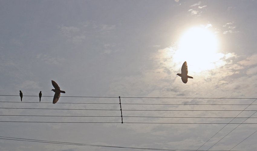 Previsão é de temperatura máxima de 34°C - Arquivo/JP