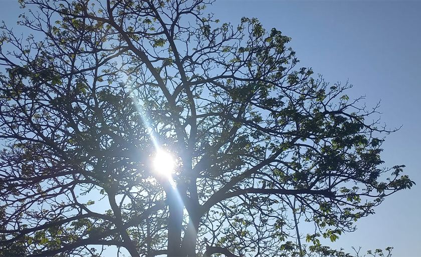 Além disso, devido a combinação de ar úmido e quente, não estão descartadas a possibilidade de pancadas de chuvas - Alfredo Neto/RCN67