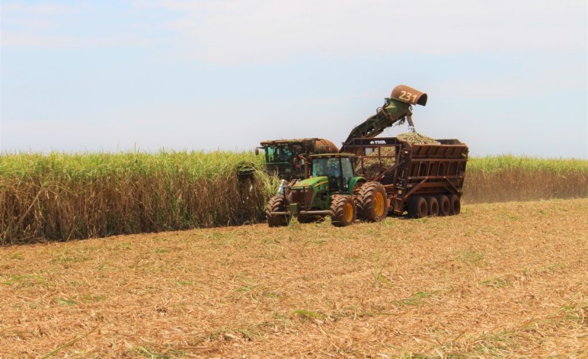 Foram produzidos 2,5 bilhões de litros de etanol a partir da cana em MS. - Foto: Divulgação/Biosul