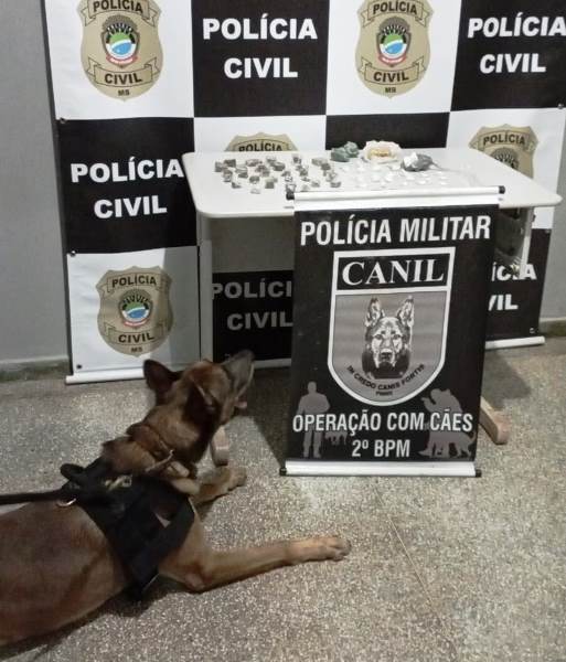 Operação contou com os cães farejadores da Polícia Militar. - Divulgação/PM