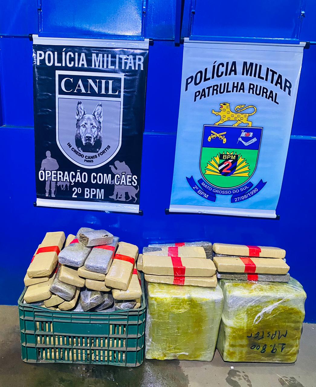 Polícia Militar apreende 93kg de maconha na MS 377 - Divulgação/Polícia Militar