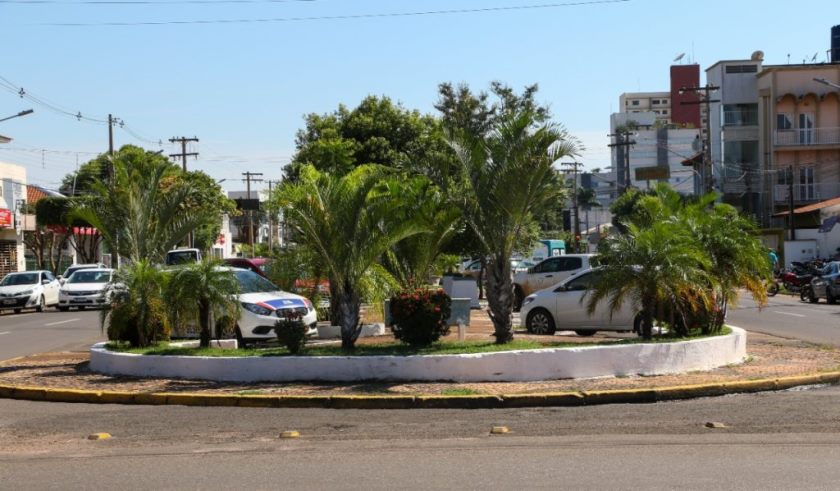 Alguns canteiros receberam tanto plantio de forma inadequada, que compromete a visibilidade no trânsito, causando risco aos motoristas. - Divulgação/Assessoria