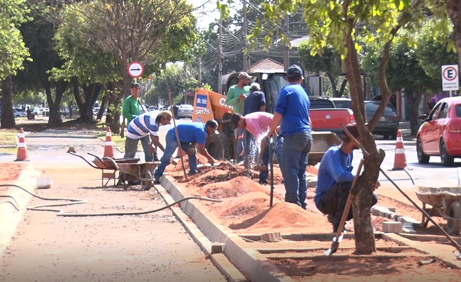 A obra consiste na revitalização do canteiro central - Reprodução/TVC