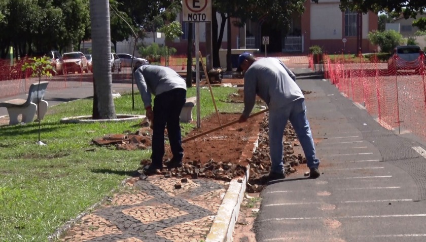 Obras de revitalização dos canteiros centrais são iniciadas - Reprodução TVC