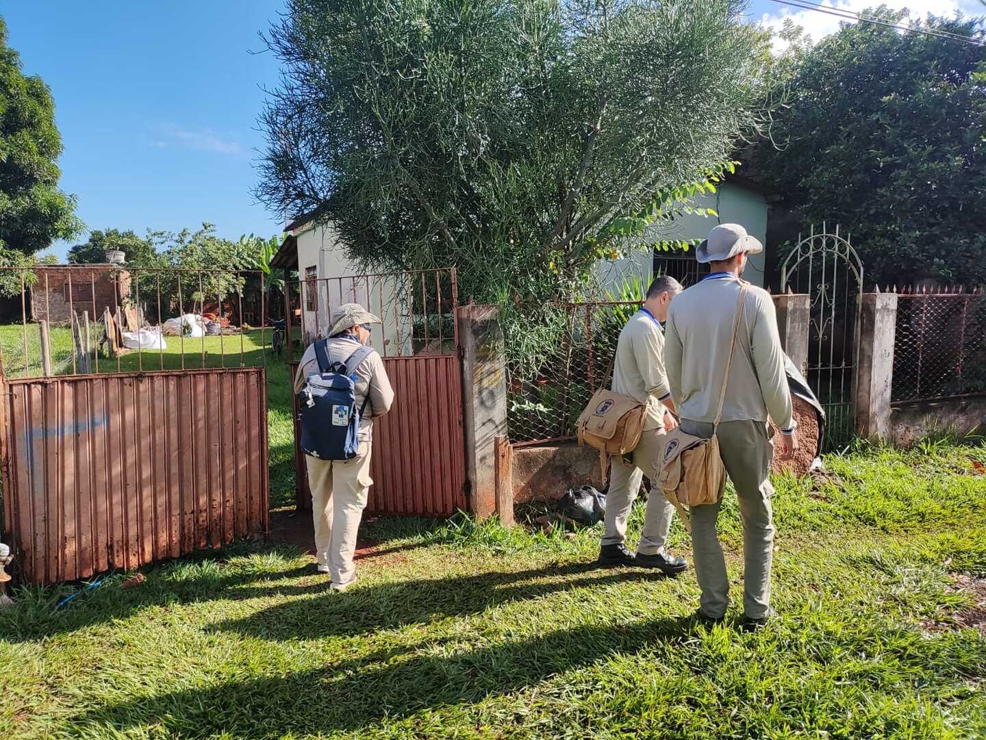 Atuação da Coordenaria de Controle de Endemias Vetoriais em Campo Grande