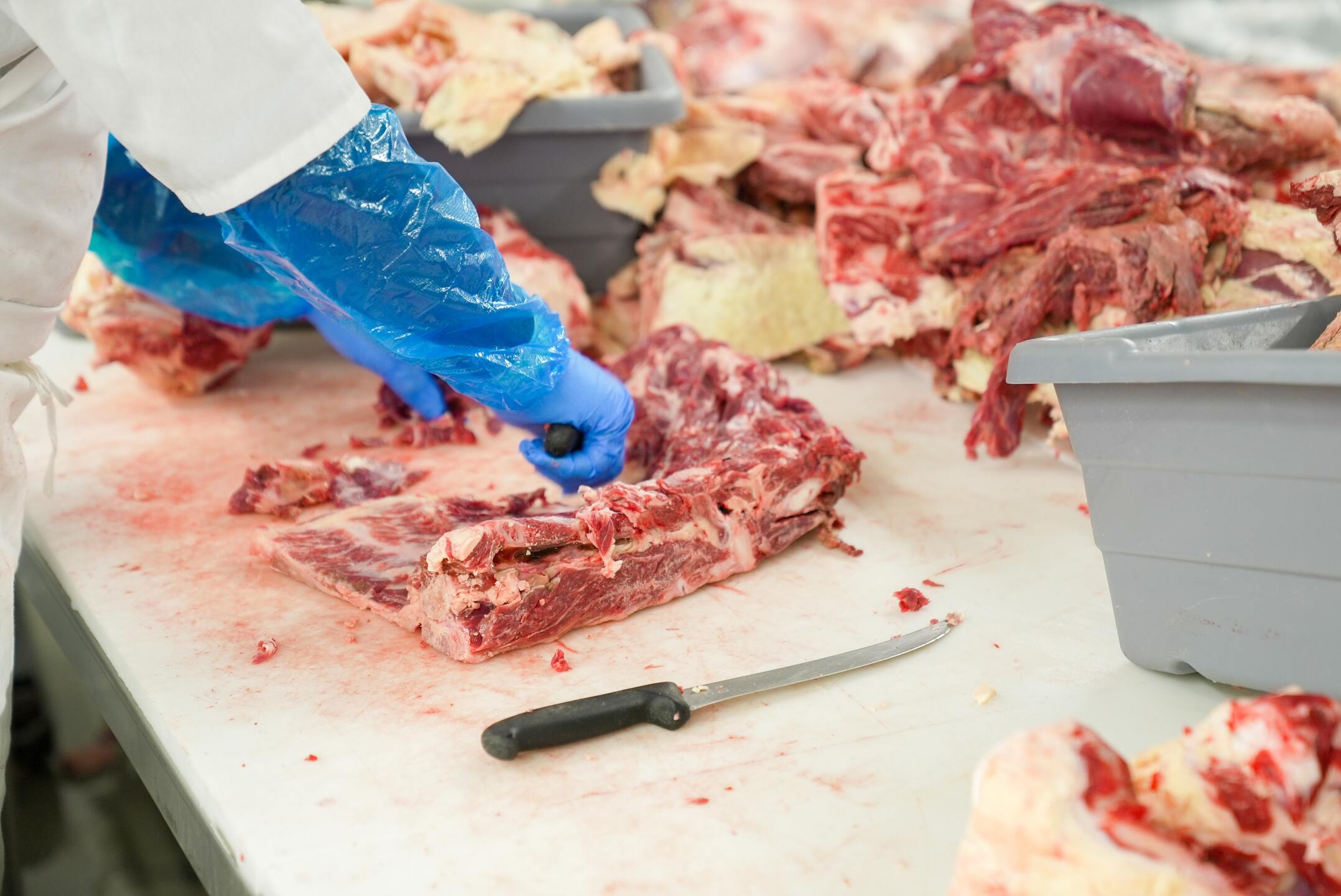 Carne in natura deve estar limpa e com bom cheiro para a venda ao consumidor - Foto: Mark Stebnick