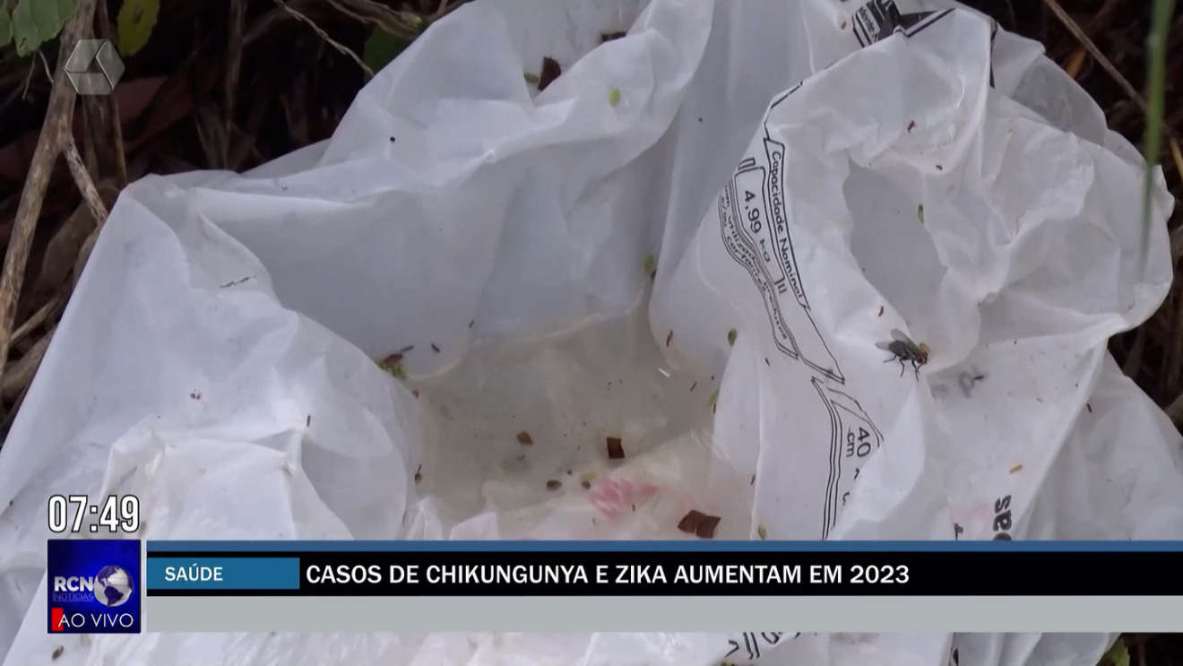 Casos de chikungunya e Zika aumenta em 2023 em Três Lagoas