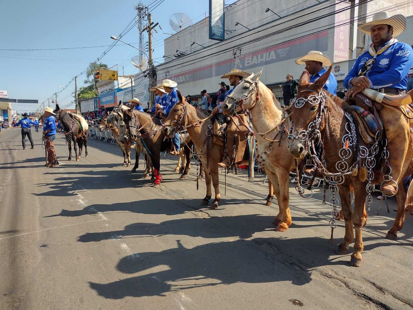 Oito comitivas e mais de 500 animais desfilaram pelas principais vias da cidade - Alex Santos/RCN67