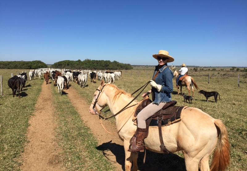 Número de mulheres em atividades agrícolas cresce 109% - Arquivo/JPNews