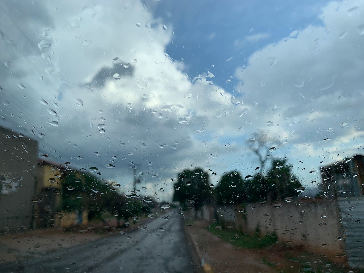 Com precipitação irregular, algumas regiões tiveram mais e outras menos quantidade de água. - Foto: Isabelly Melo