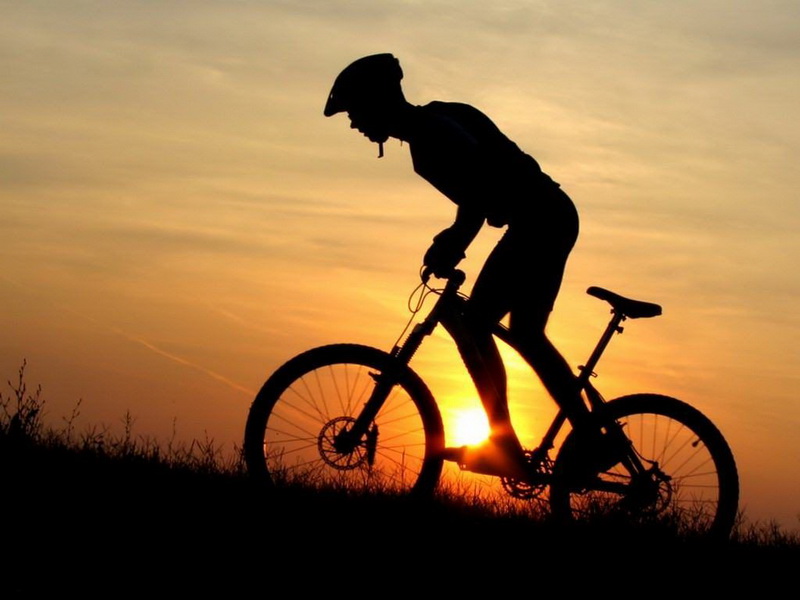 MS institui Dia de Conscientização e Proteção ao Ciclista - Foto: Divulgação