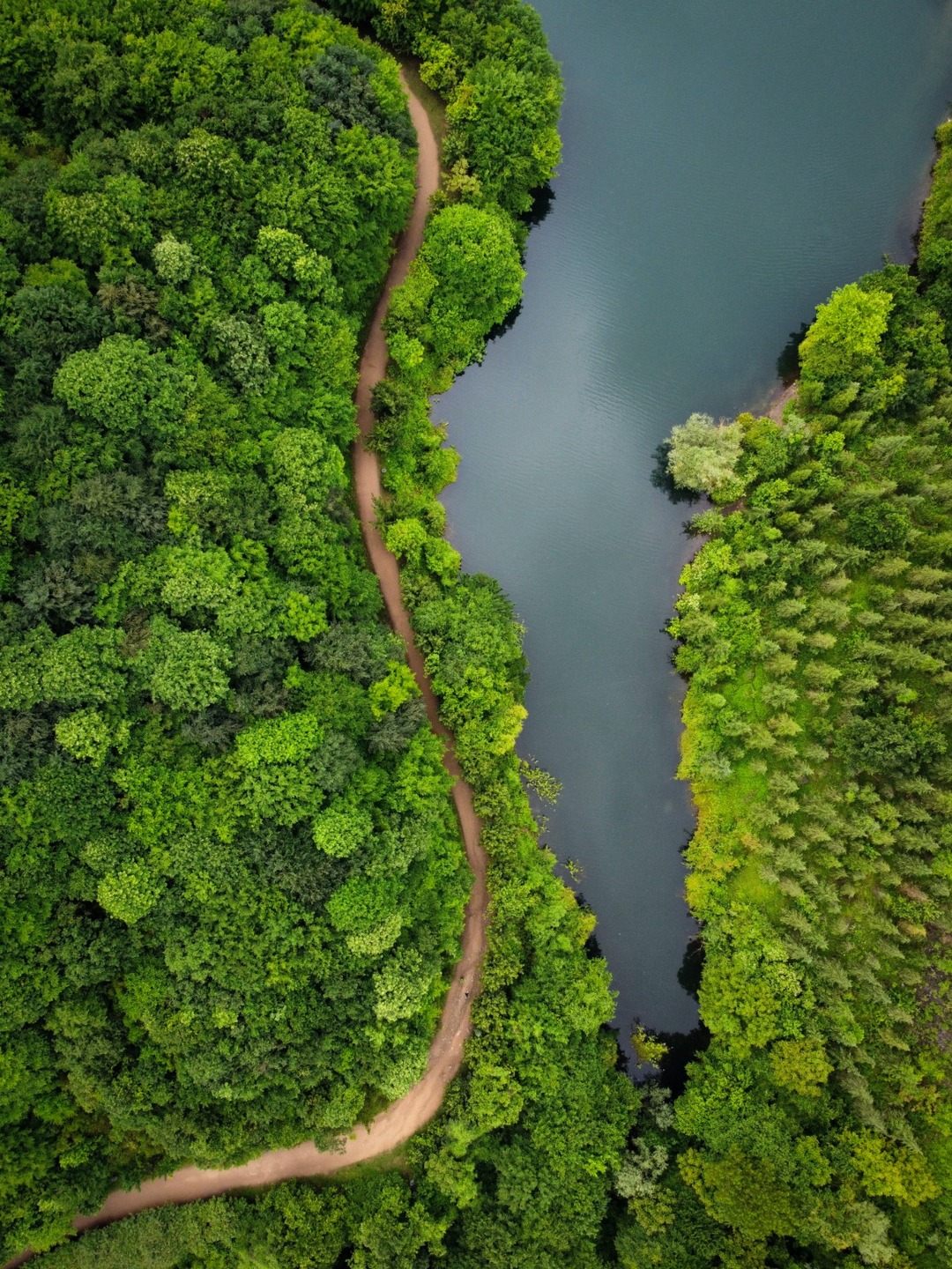 Costa Rica desenvolveu método mais eficiente do mundo de combate ao desmatamento - Foto: Yunus Tuğ