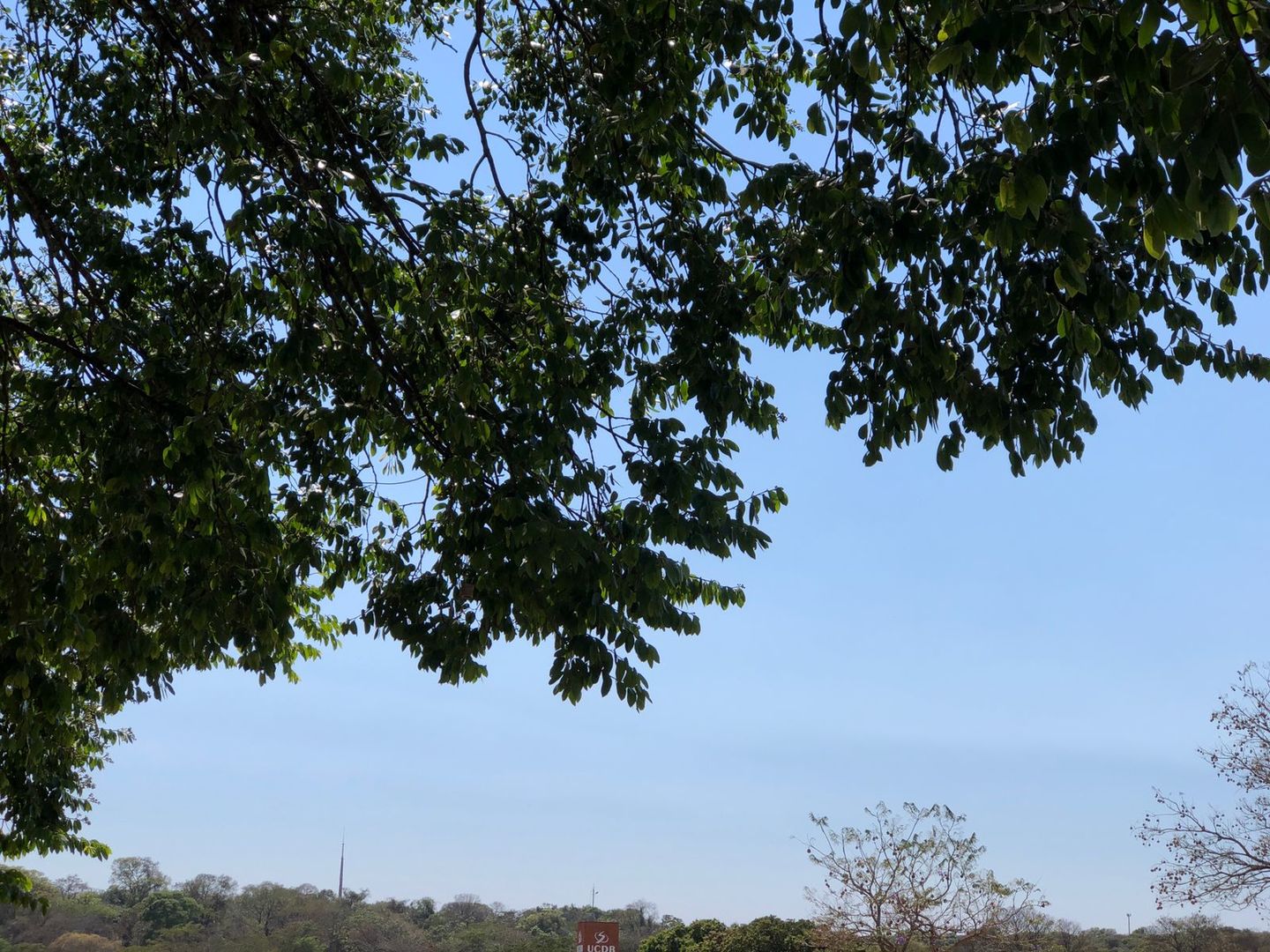 Temperaturas voltam a subir no domingo em MS - Foto: Isabelly Melo/CBN