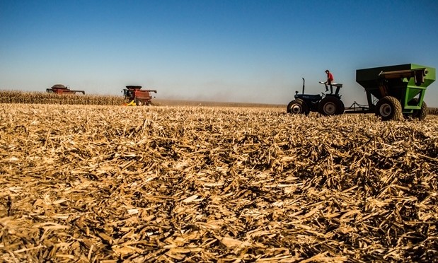 Lavouras puxaram o rendimento da agropecuária no ano passado - Arquivo