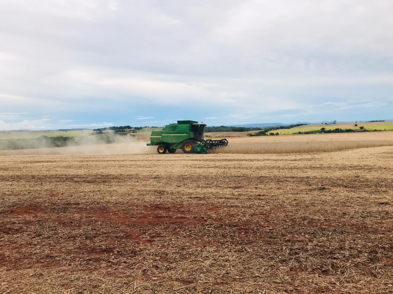 Produtores da região sul colheram a maior porcentagem da safra 2020/2021 de soja até o momento. - Foto: Arquivo Pessoal