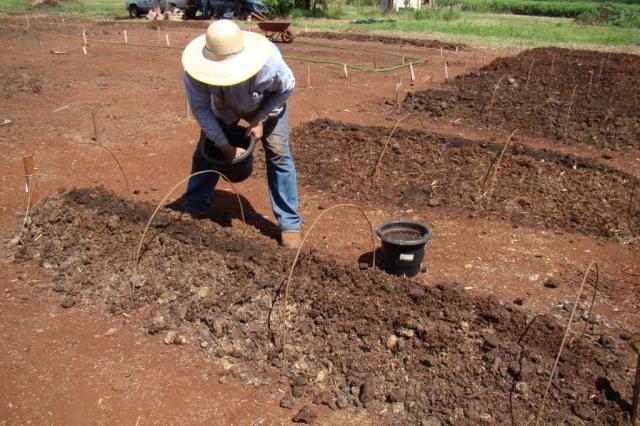 O curso de Produção de Adubos Orgânicos, terá início na próxima segunda-feira (12) - Reprodução