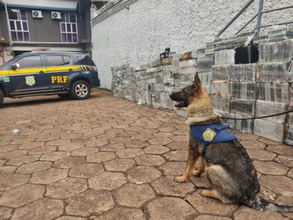A droga estava sendo transportada em caminhão tanque e tinha como destino Campo Grande. - Foto:Divulgação
