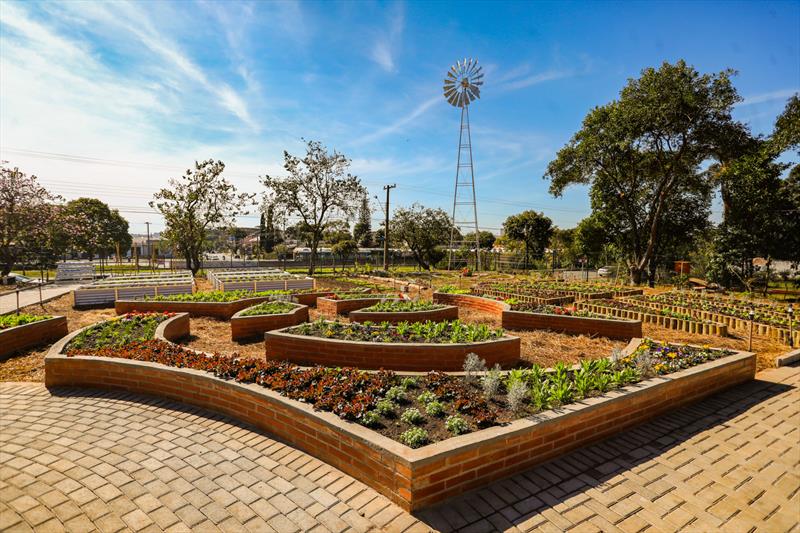 Em uma área de 4.435 m², o espaço da Prefeitura reúne os mais modernos métodos de plantio de alimentos saudáveis, sem agrotóxico - Foto: Daniel Castellano SMCS