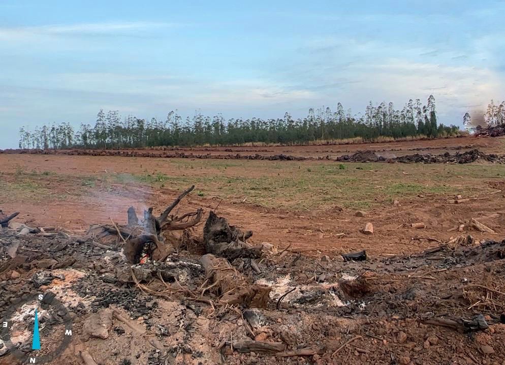 Aumento de focos de incêndios em solo sul-mato-grossense - Foto: Divulgação