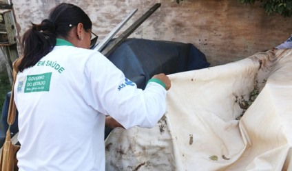 A limpeza dos quintais deve ser constate - Arquivo/JP News