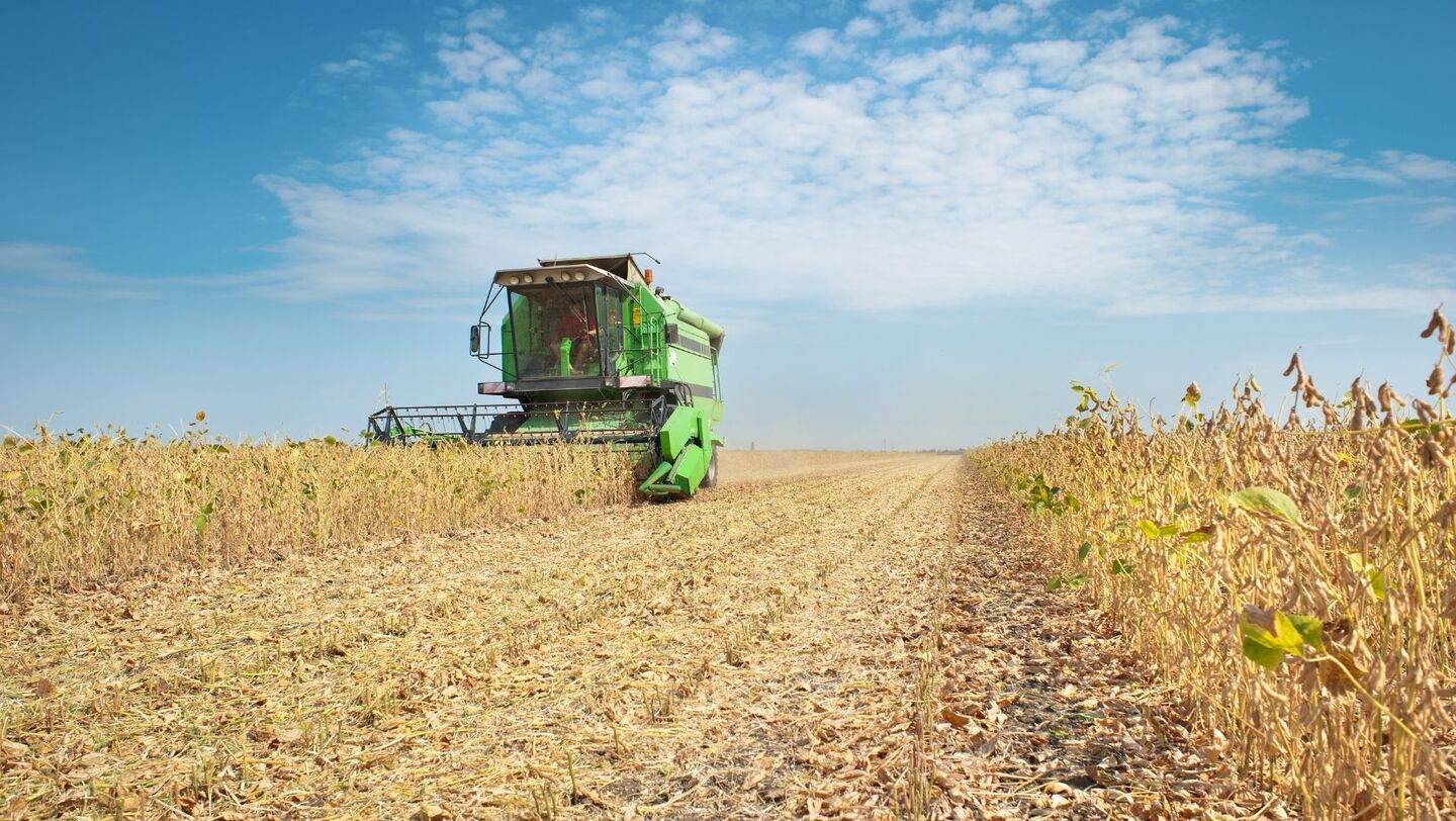 bolsas na Argentina reduziram fortemente a estimativa de produção no país - Foto: Divulgação