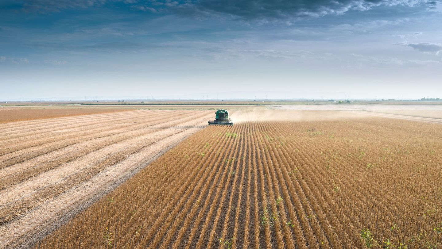 Em Mato Grosso do Sul, preço recuou mais de 11% em apenas 10 dias. - Foto: Divulgação