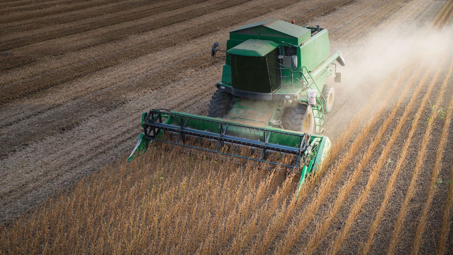 Dificuldades preparam o agricultor para próxima safra - Foto: Reprodução