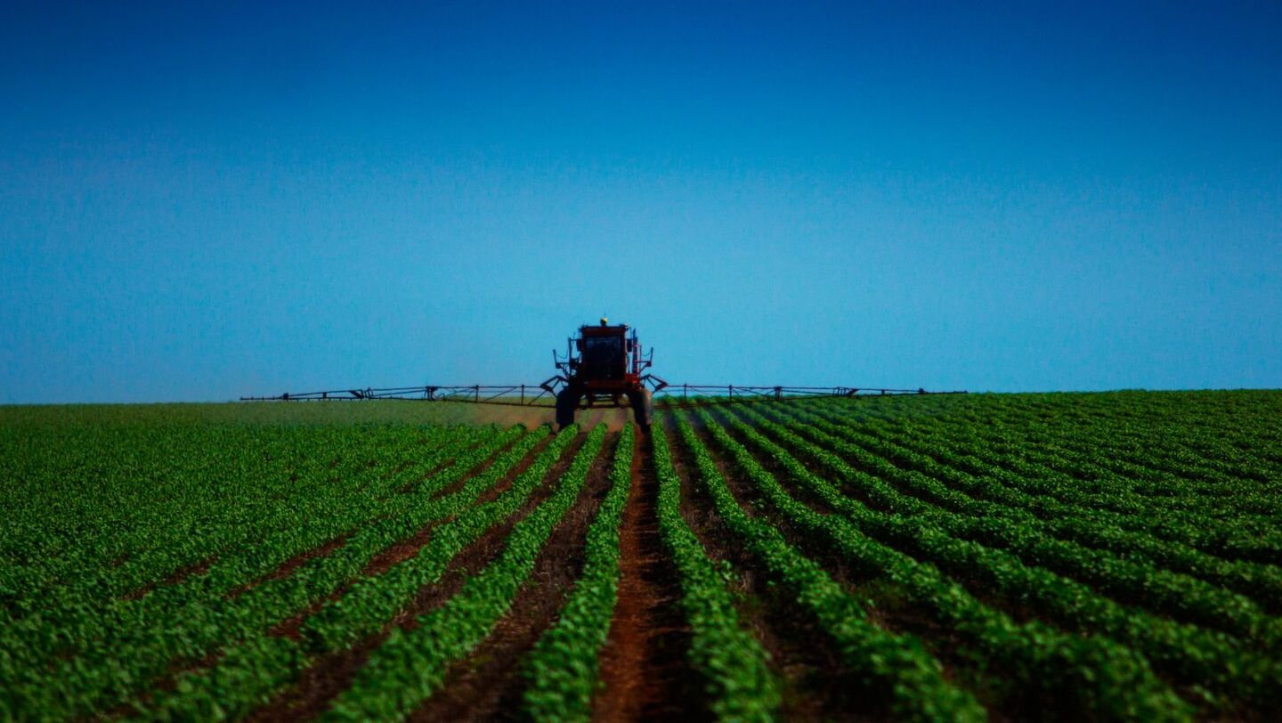 Apesar dessa redução no preço dos fertilizantes, outros insumos continuam com valores de compra elevados. - Foto: Divulgação