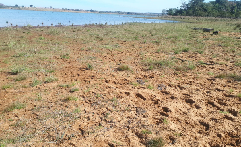 A área desmatada equivale a dez hectares de vegetação protegida de mata ciliar do lago - Divulgação/PMA