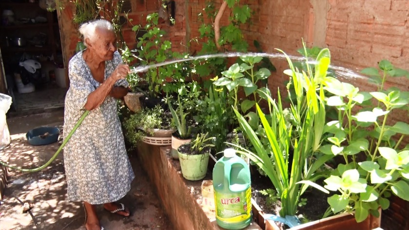 Dona Albina adora cuidar e aguar as plantas do quintal e fazer a própria comida. - Foto: Reprodução/TVC