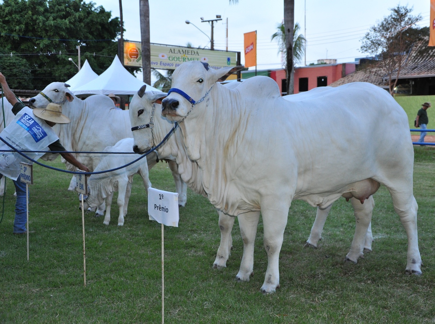 Maior feira agropecuária do estado