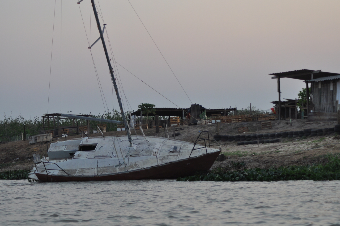 Foto: Área do Pantanal próxima a Corumbá - Foto: Viviane Amorim/Divulgação