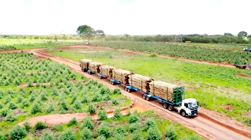 Levantamento mostra que, além do agro, a cidade também está entre as melhores para se investir na indústria e comércio - Divulgação/