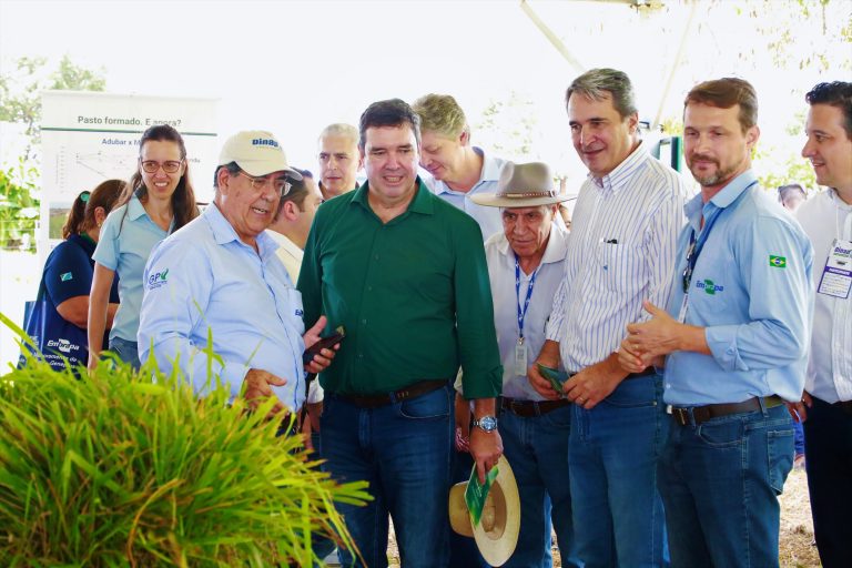 Feira agropecuária aborda temas de desenvolvimento e sustentabilidade - Foto: Saul Schramm/ Governo do Estado