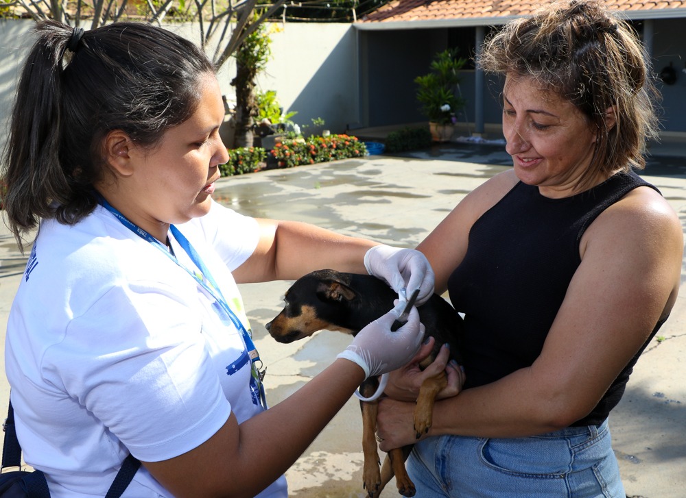 Projeto visa integrar um estudo que avaliará a efetividade das coleiras impregnadas com deltametrina no combate à leishmaniose canina - Divulgação