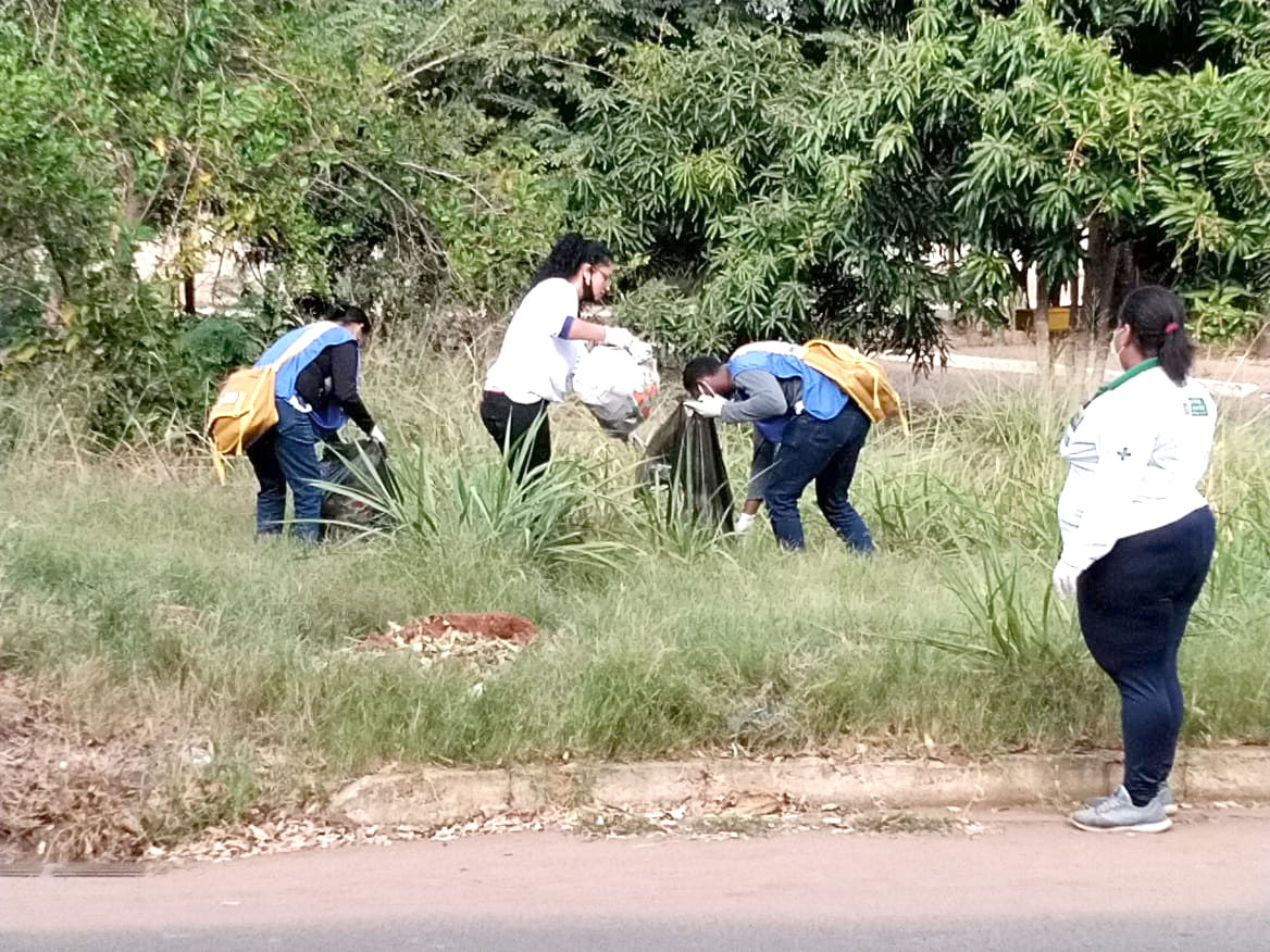 Combate > agentes de endemias realizam limpeza - Arquivo/JPNews