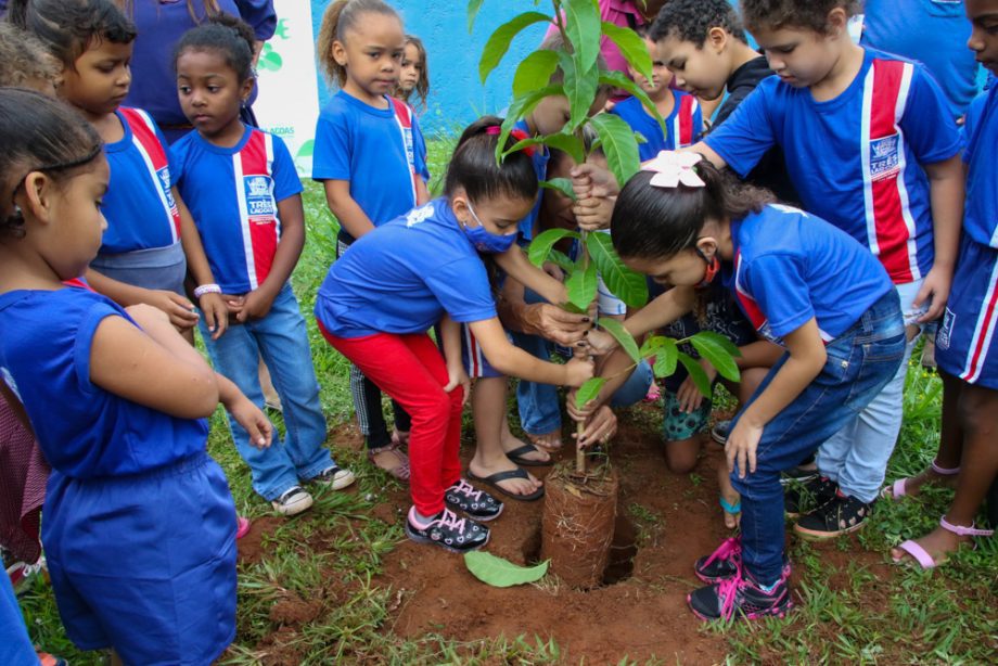  Foram plantadas mudas de oiti, ipê branco e resedá gigante - Divulgação