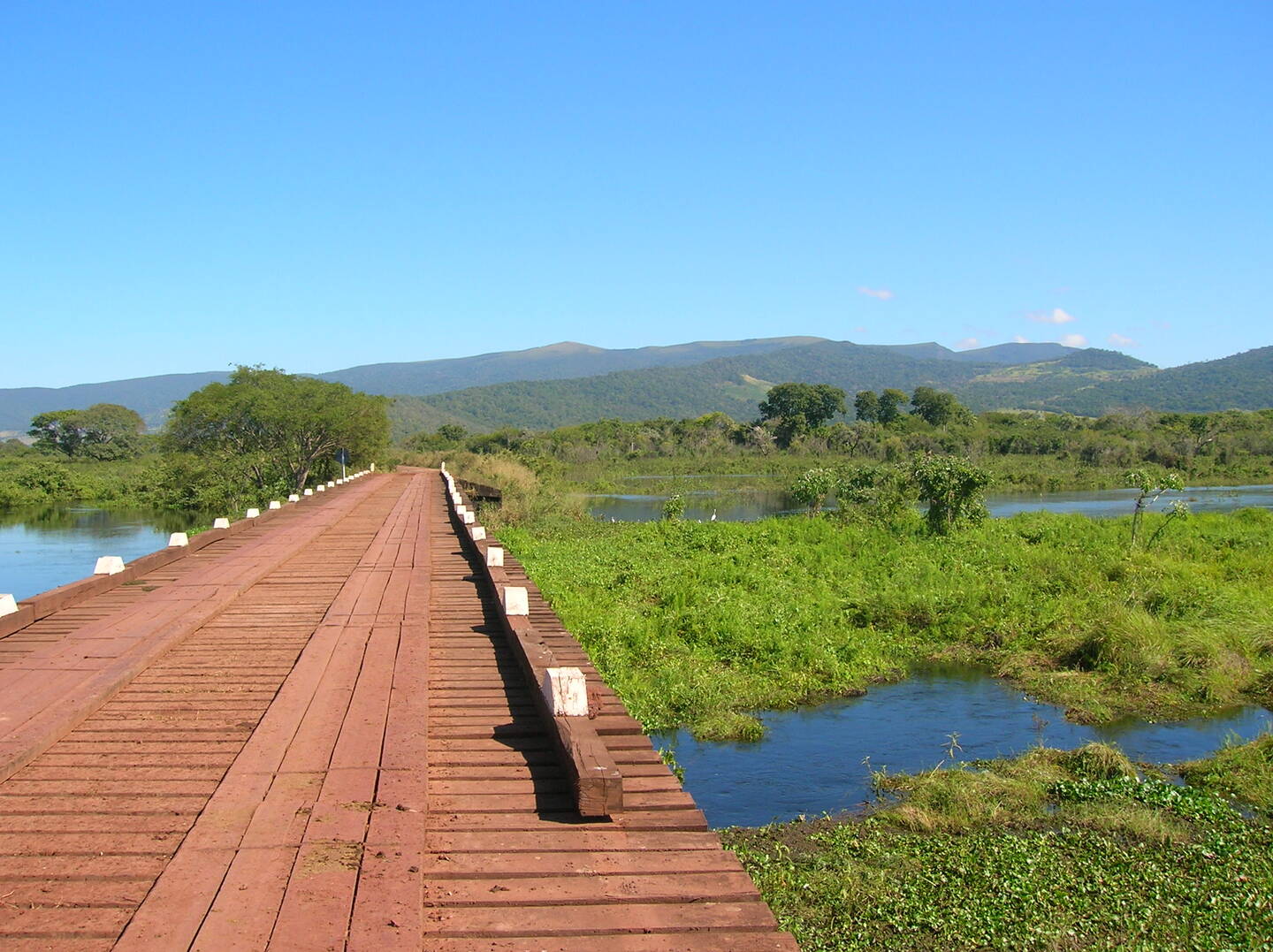 - Foto: Divulgação Ecoa