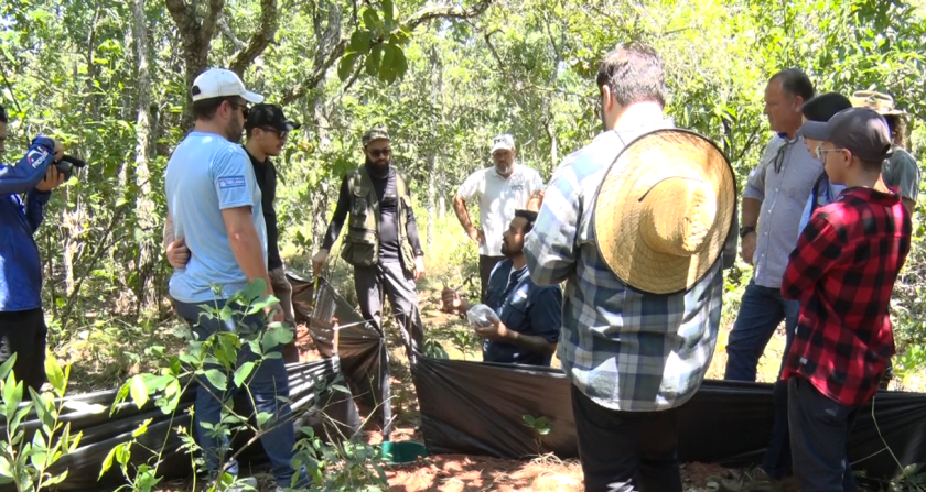 Visitação no Parque do Pombo está liberada apenas para pesquisa científica