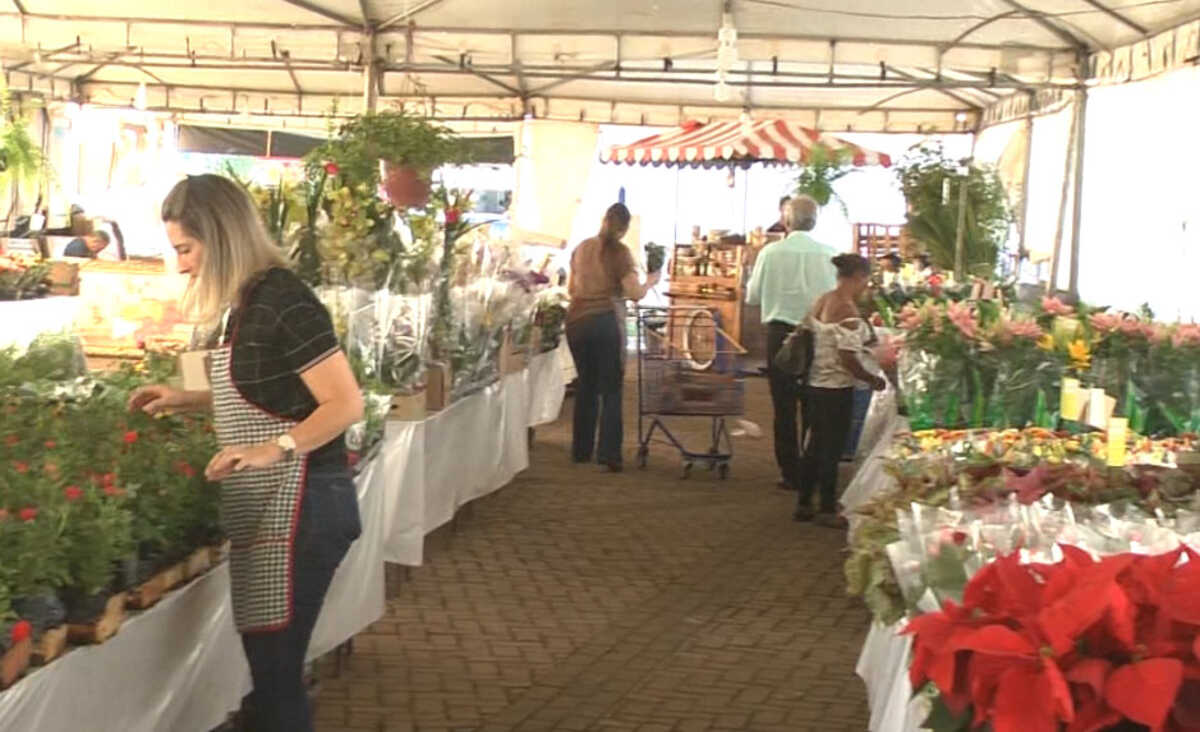 Mais de 150 espécies de flores e plantas ornamentais estarão expostas e à venda no evento - Reprodução/TVC