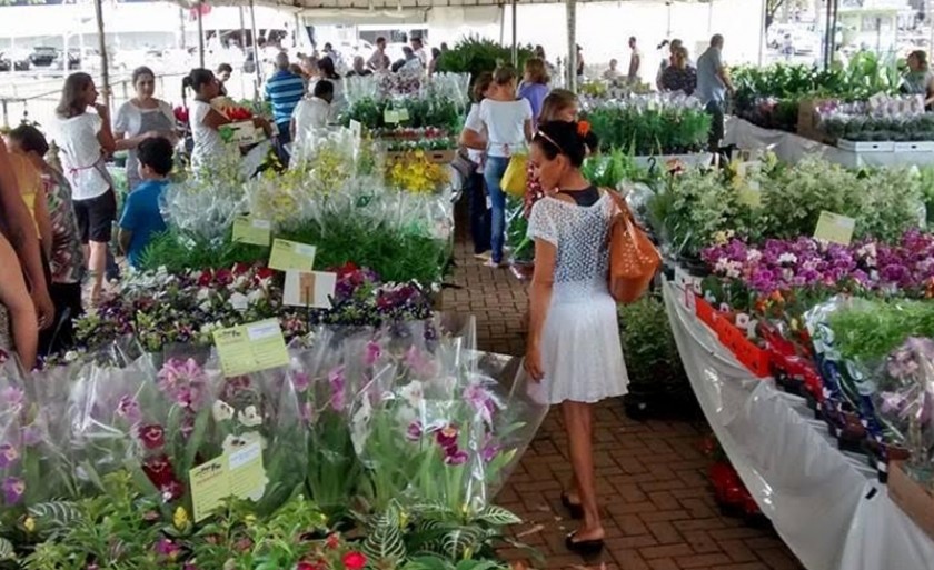 Mais de 100 espécies de flores e plantas ornamentais serão comercializadas no local, a partir desta terça-feira (25). - Arquivo/JPNEWS