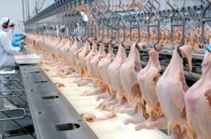 Mato Grosso do Sul teve 32 dias de suspensão das exportações - Foto: Reprodução