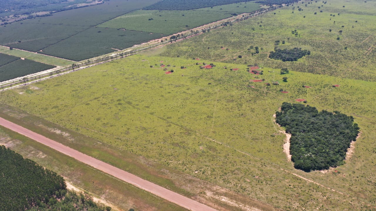 Área onde será construída a fábrica de celulsoe de Ribas do Rio Pardo - All Drones