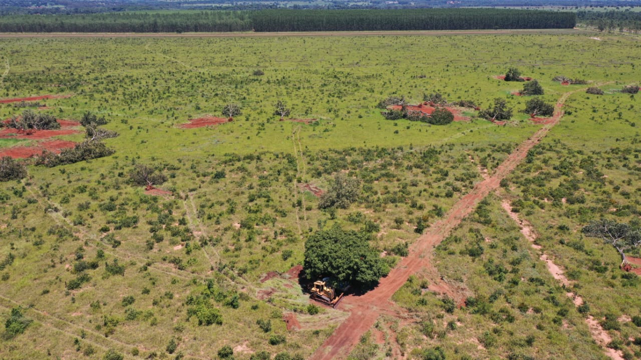 Área fica localizada na BR a 12 km de Ribas - Foto: All Drones