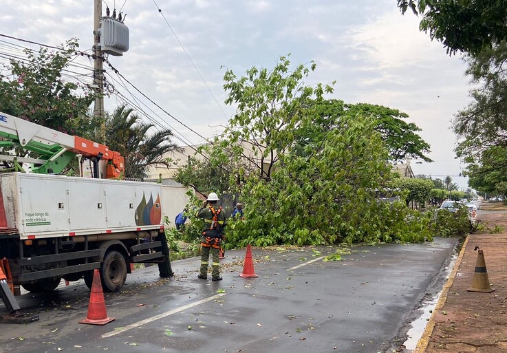 Forte chuva com granizo derruba árvores e deixa casas sem água, em bairros em Três Lagoas. - Divulgação