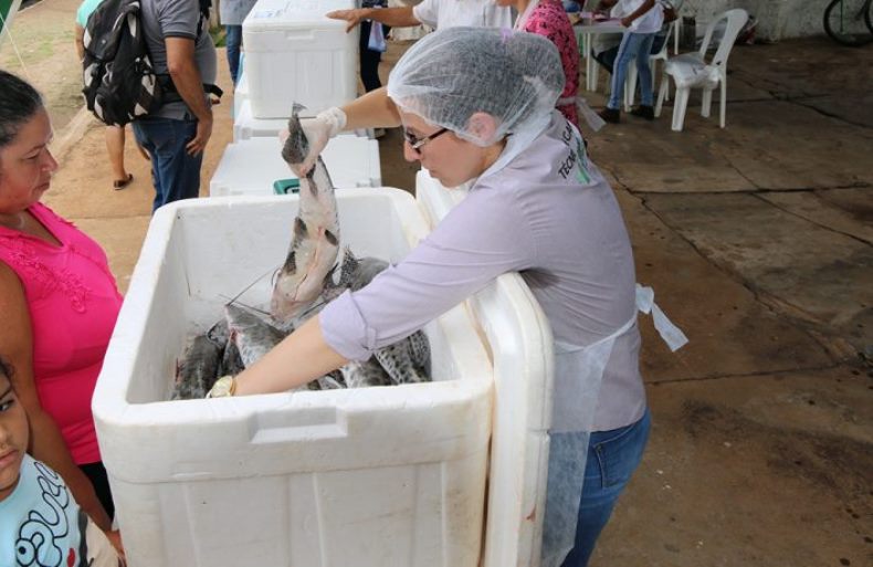 Quem quiser comprar pescado poderá participar da feira, que ocorre na Feira Central de Três Lagoas. - Arquivo/JPNEWS