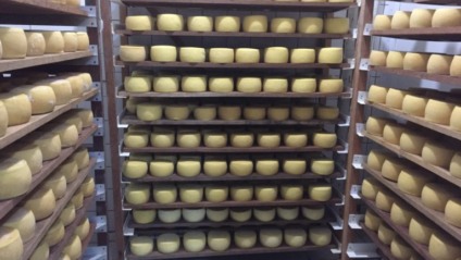 Quase 4 toneladas de queijo serão comercializadas pelos mais de 40 expositores e produtores participantes - Foto: Prefeitura de Campo Grande