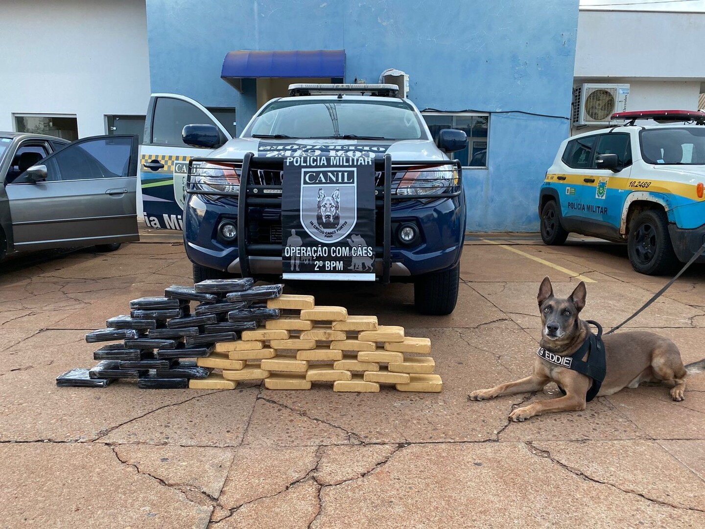 Cão policial K-9Eddie localiza droga em carro e traficantes perdem mais de R$800mil em entorpecentes - Divulgação/Polícia Militar